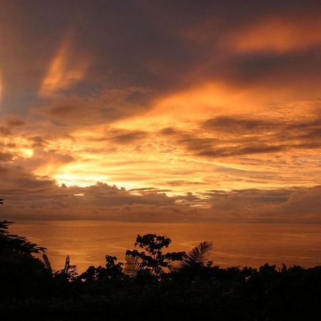 Villa Vista Hermosa - With Breathtaking Ocean View & Wifi Quepos Ngoại thất bức ảnh