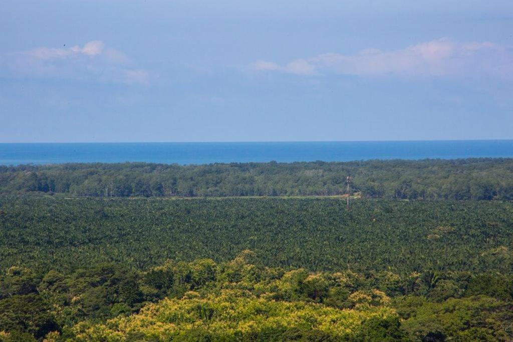 Villa Vista Hermosa - With Breathtaking Ocean View & Wifi Quepos Ngoại thất bức ảnh
