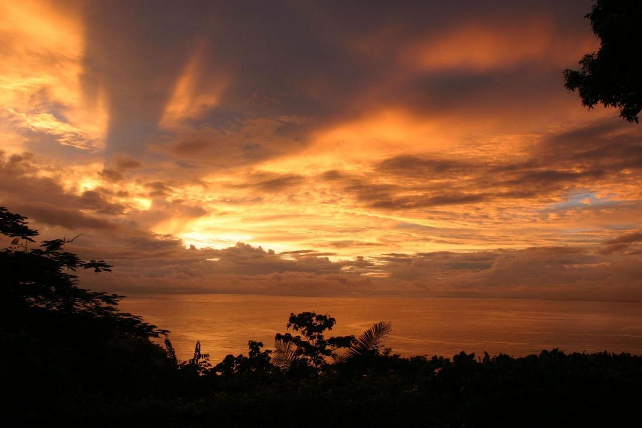 Villa Vista Hermosa - With Breathtaking Ocean View & Wifi Quepos Ngoại thất bức ảnh